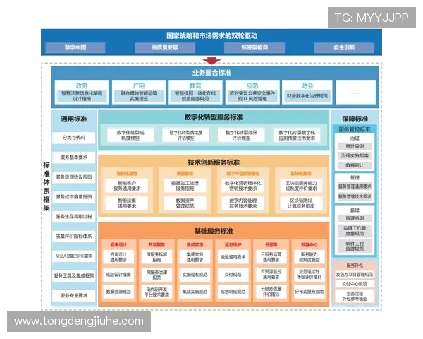 九游体育VIP直营平台的技术支持与客户服务体系全面解析